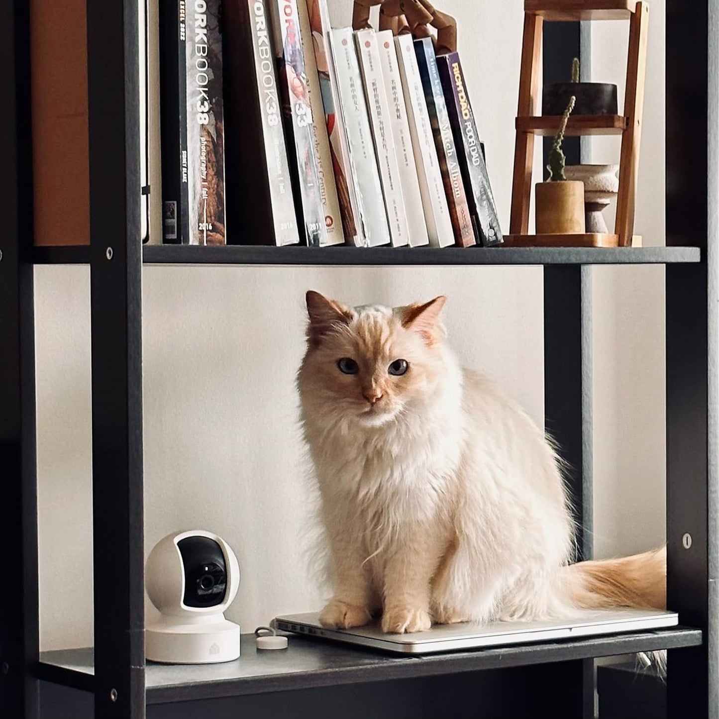 Indoor Pan/Tilt Smart Security Camera
